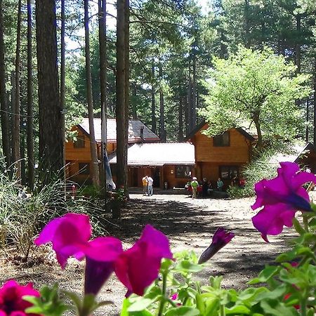 Chalet Clan Dei Ragazzi Hotel Linguaglossa Esterno foto