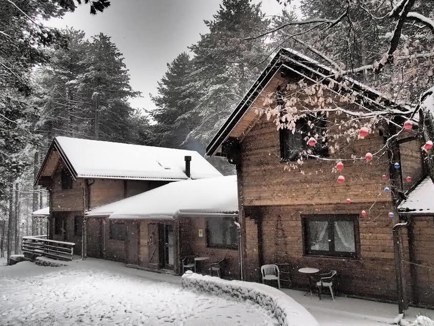 Chalet Clan Dei Ragazzi Hotel Linguaglossa Esterno foto
