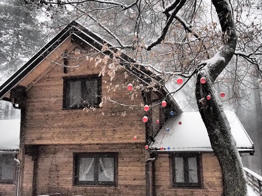 Chalet Clan Dei Ragazzi Hotel Linguaglossa Esterno foto