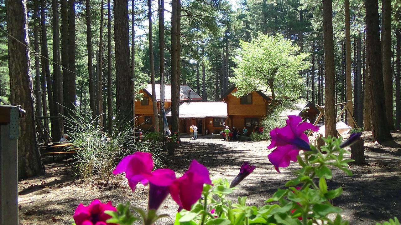 Chalet Clan Dei Ragazzi Hotel Linguaglossa Esterno foto